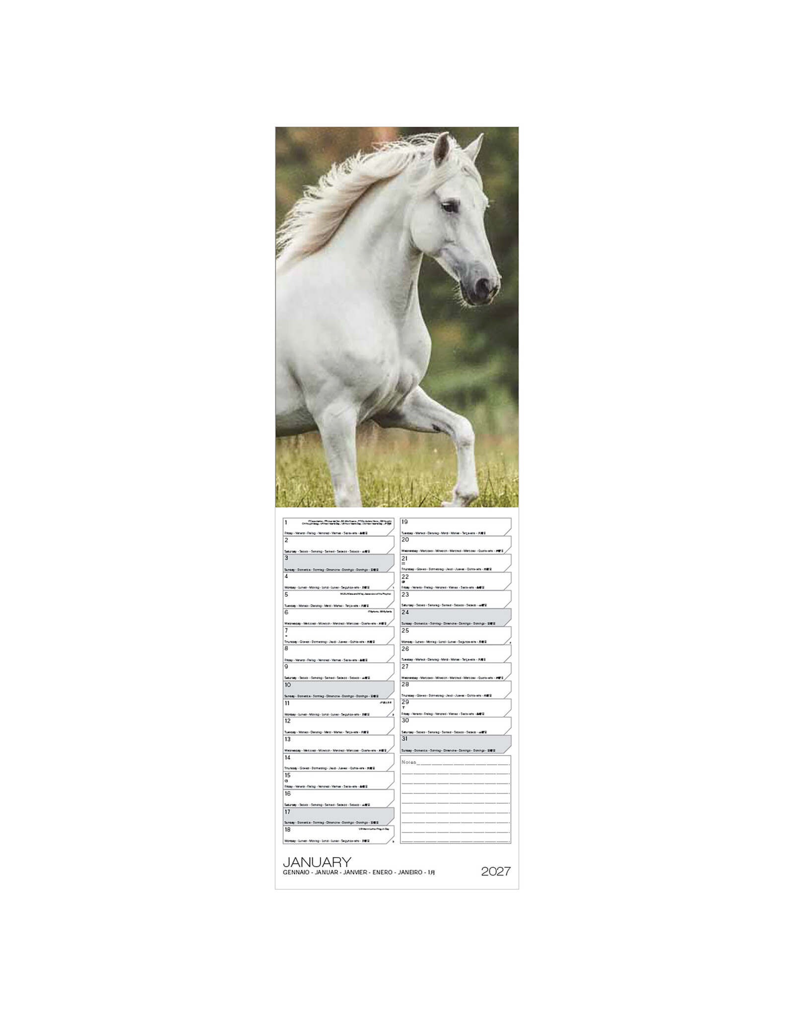 Allaluna 2027 Horses 6 x 19 Wall Calendar
