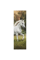 Allaluna 2027 Horses 6 x 19 Wall Calendar