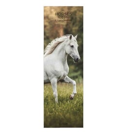 Allaluna 2027 Horses 6 x 19 Wall Calendar