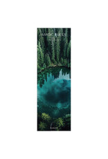 Allaluna 2027 Magic Trees 6 x 19 Wall Calendar