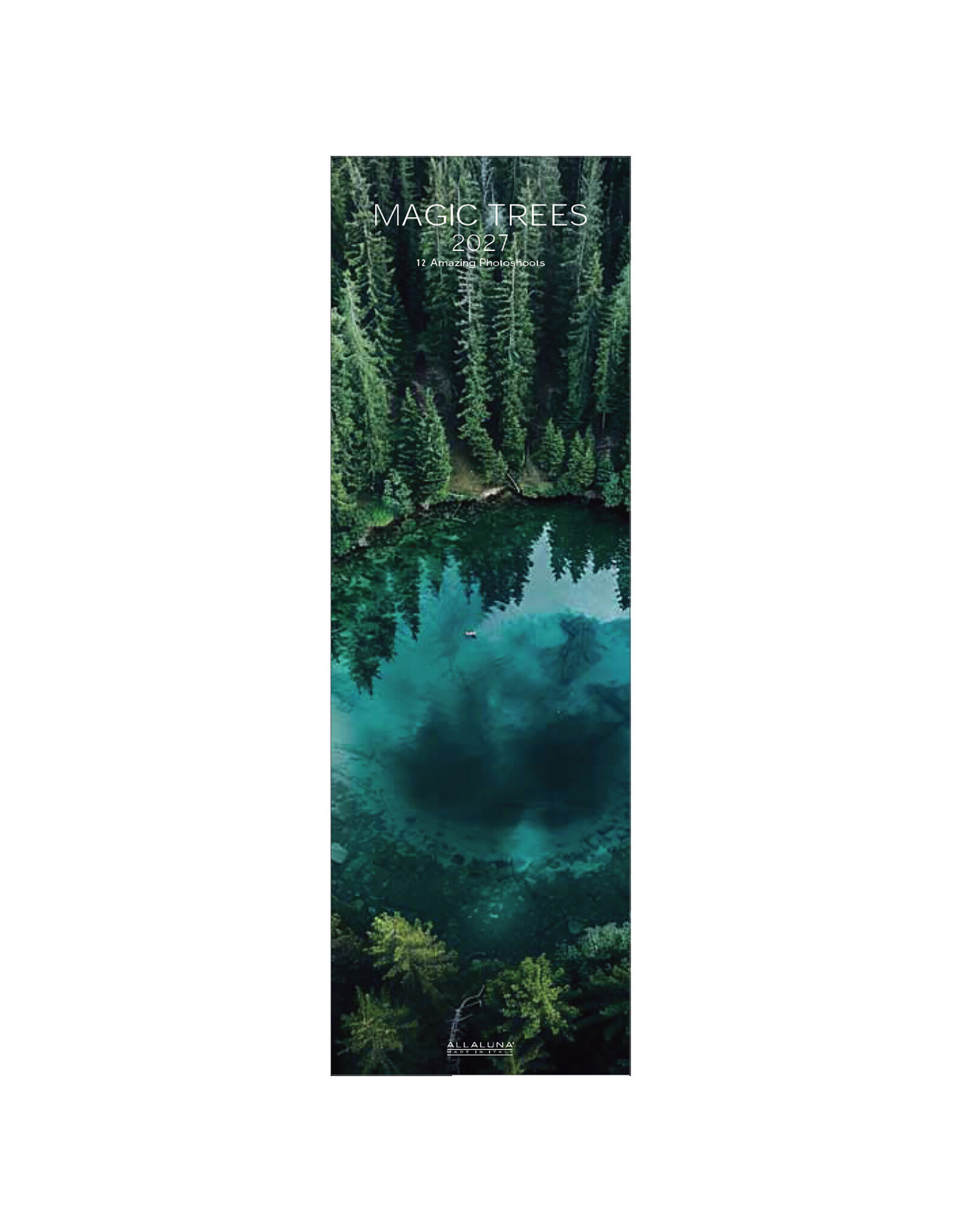 Allaluna 2027 Magic Trees 6 x 19 Wall Calendar