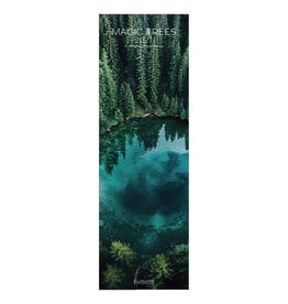 Allaluna 2027 Magic Trees 6 x 19 Wall Calendar