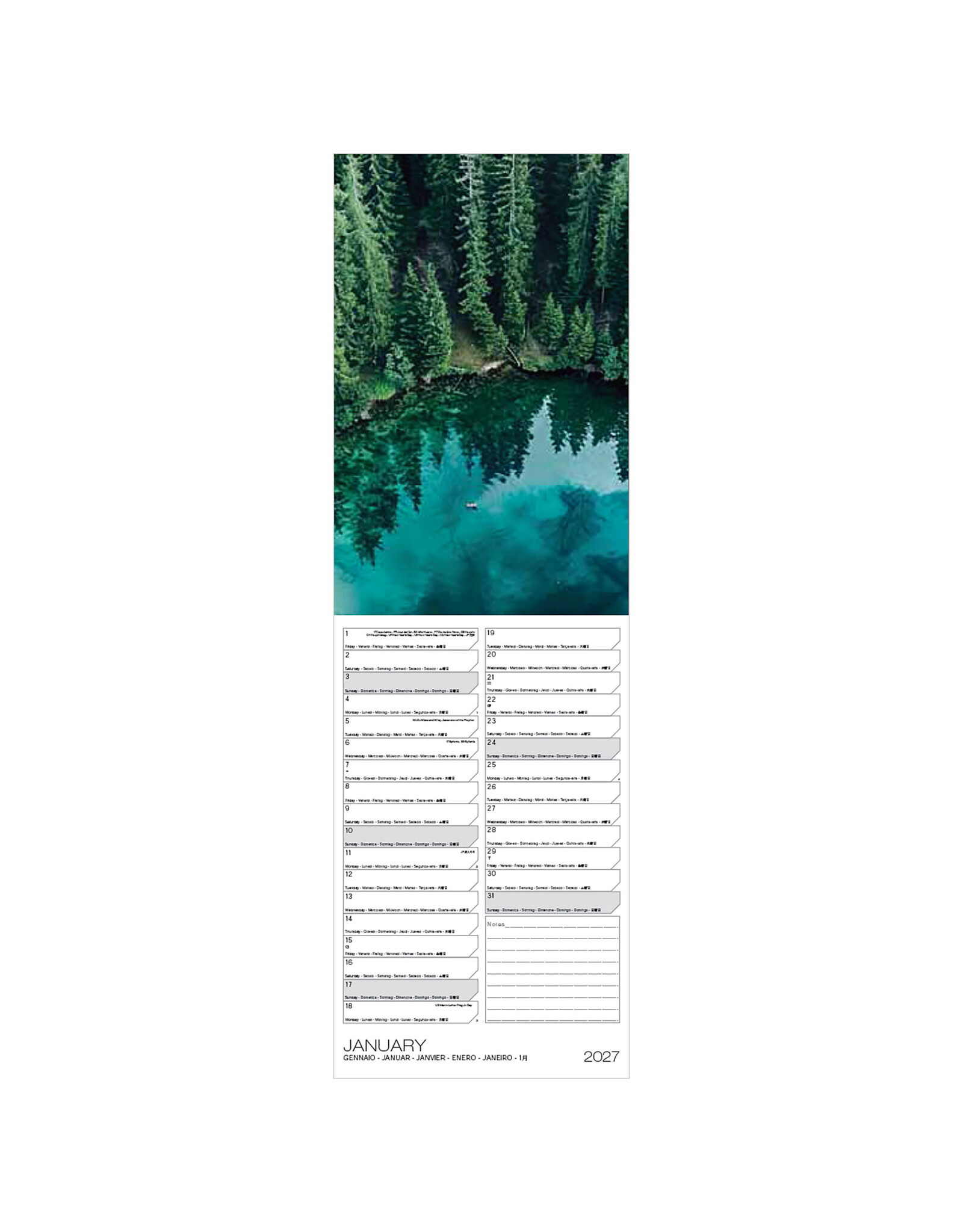 Allaluna 2027 Magic Trees 6 x 19 Wall Calendar
