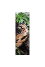 Allaluna 2027 Cats 6 x 19 Wall Calendar