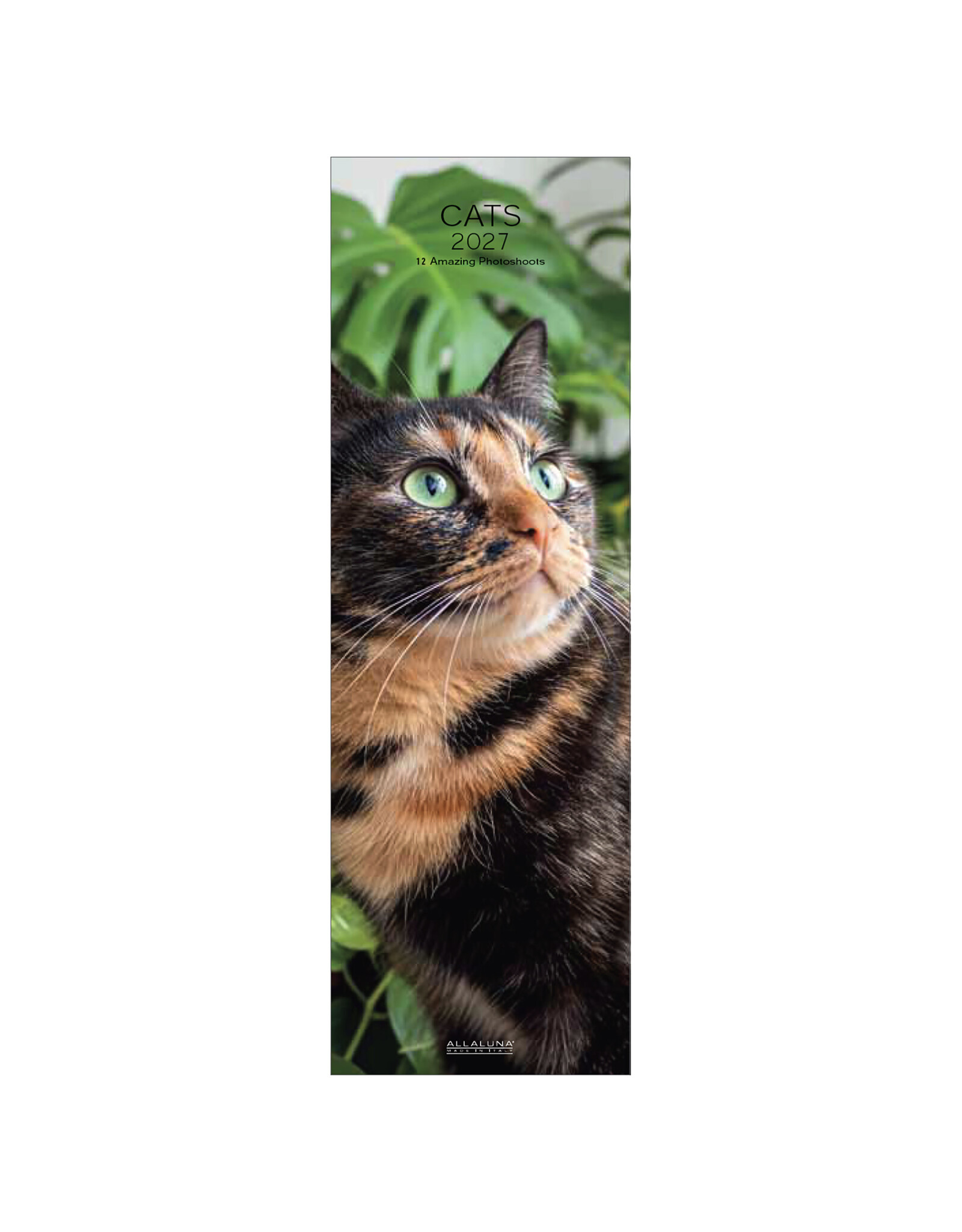 Allaluna 2027 Cats 6 x 19 Wall Calendar