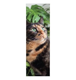Allaluna 2027 Cats 6 x 19 Wall Calendar
