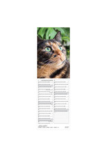 Allaluna 2027 Cats 6 x 19 Wall Calendar