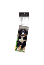 Allaluna 2027 Dogs Bookmark 2 x 8 Bookmark Calendar