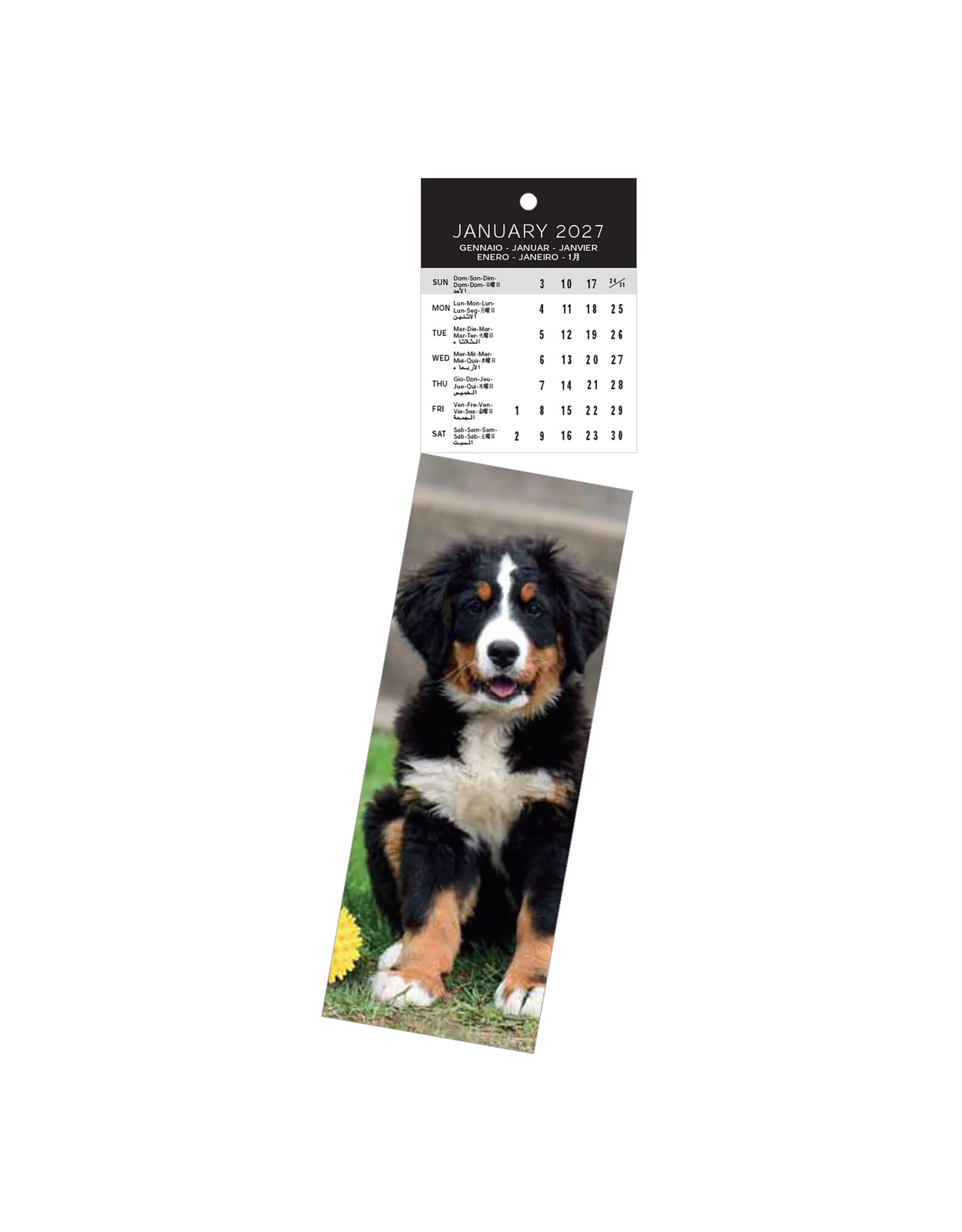 Allaluna 2027 Dogs Bookmark 2 x 8 Bookmark Calendar