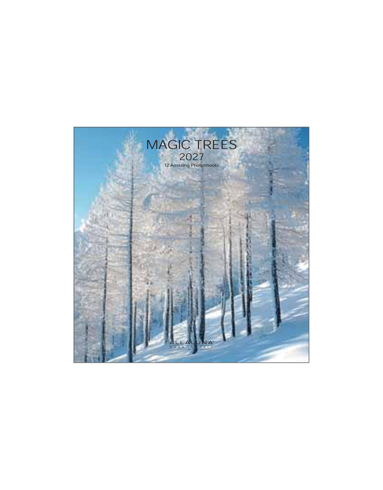 Allaluna 2027 Magic Trees 7 x 7 Wall Calendar
