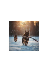 Allaluna 2027 Dogs 7 x 7 Wall Calendar