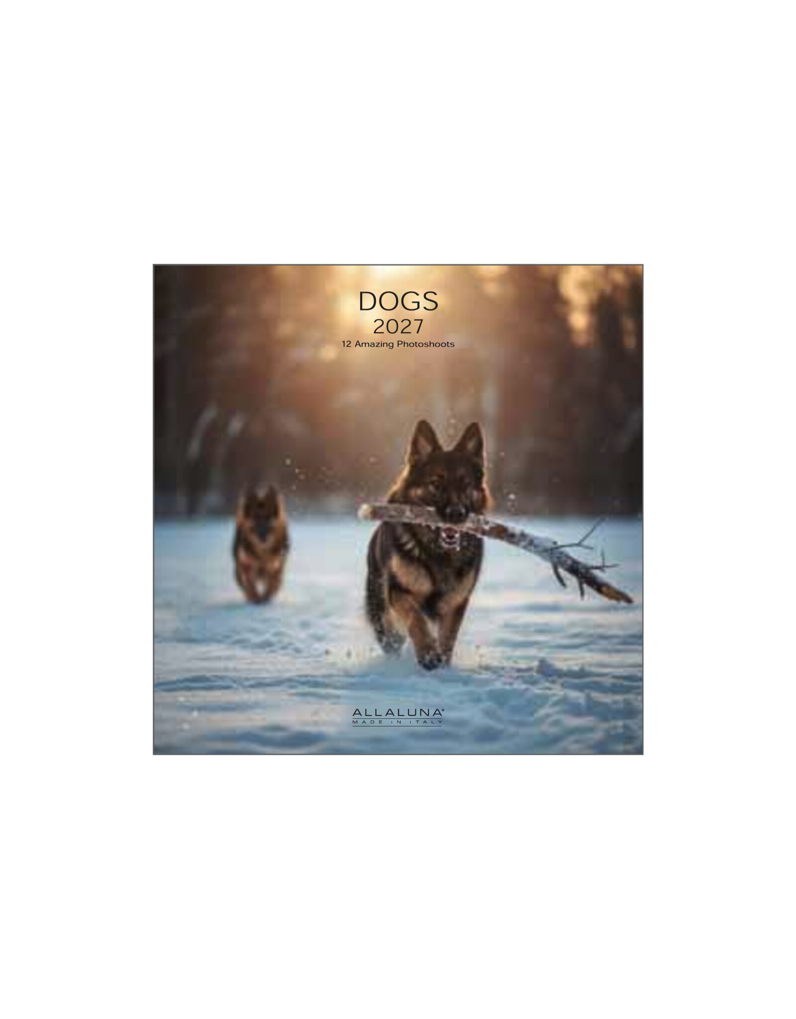 Allaluna 2027 Dogs 7 x 7 Wall Calendar