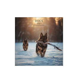 Allaluna 2027 Dogs 7 x 7 Wall Calendar
