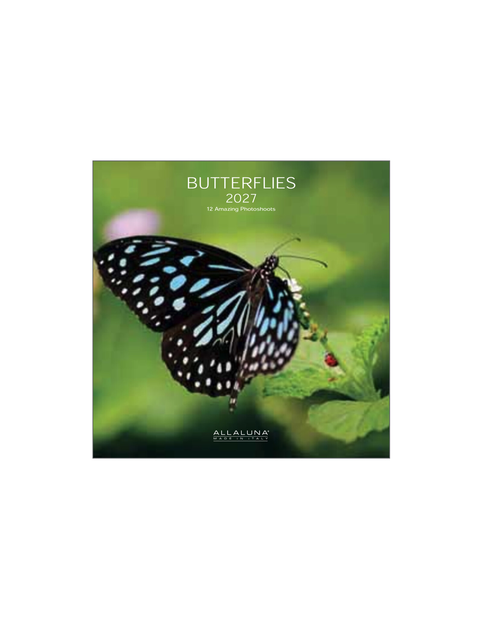 Allaluna 2027 Butterflies 7 x 7 Wall Calendar