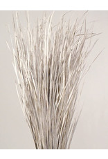 Wild Grass, White Wash 40p -4oz