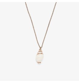 Pura Vida Electroplated Conch Necklace, Rose Gold