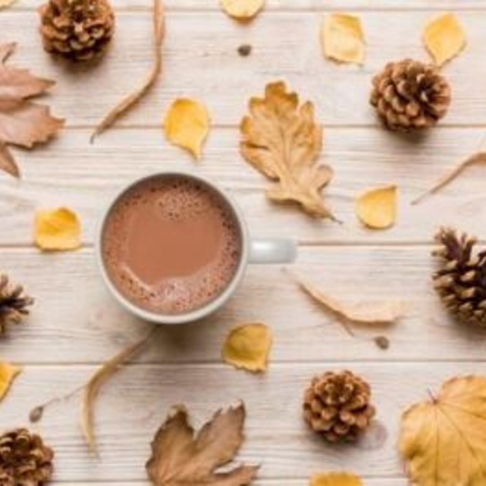 Gourmet du Village Chocolat chaud ours - Foret