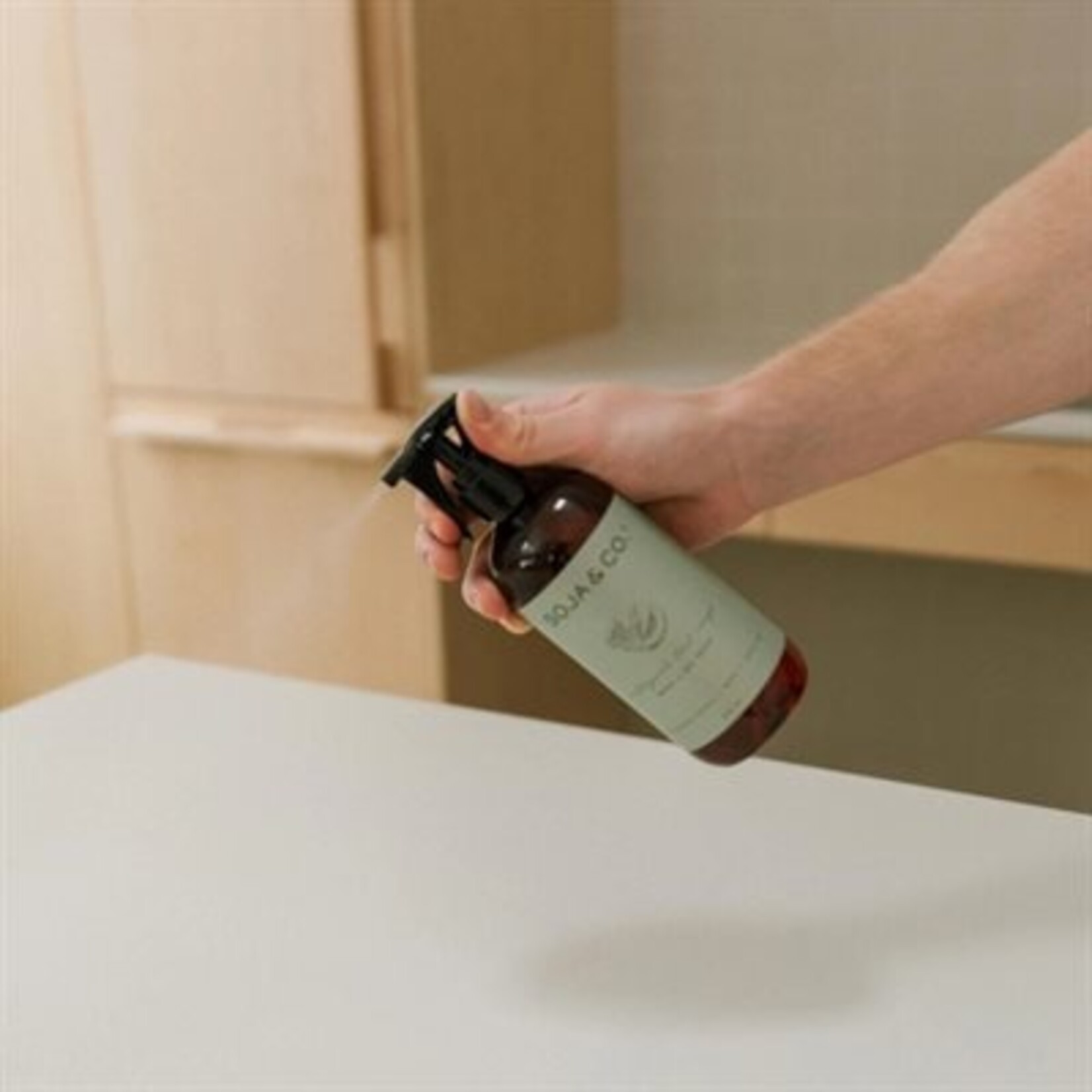 Soja&Co. Nettoyant tout usage - Melon, Salty Air