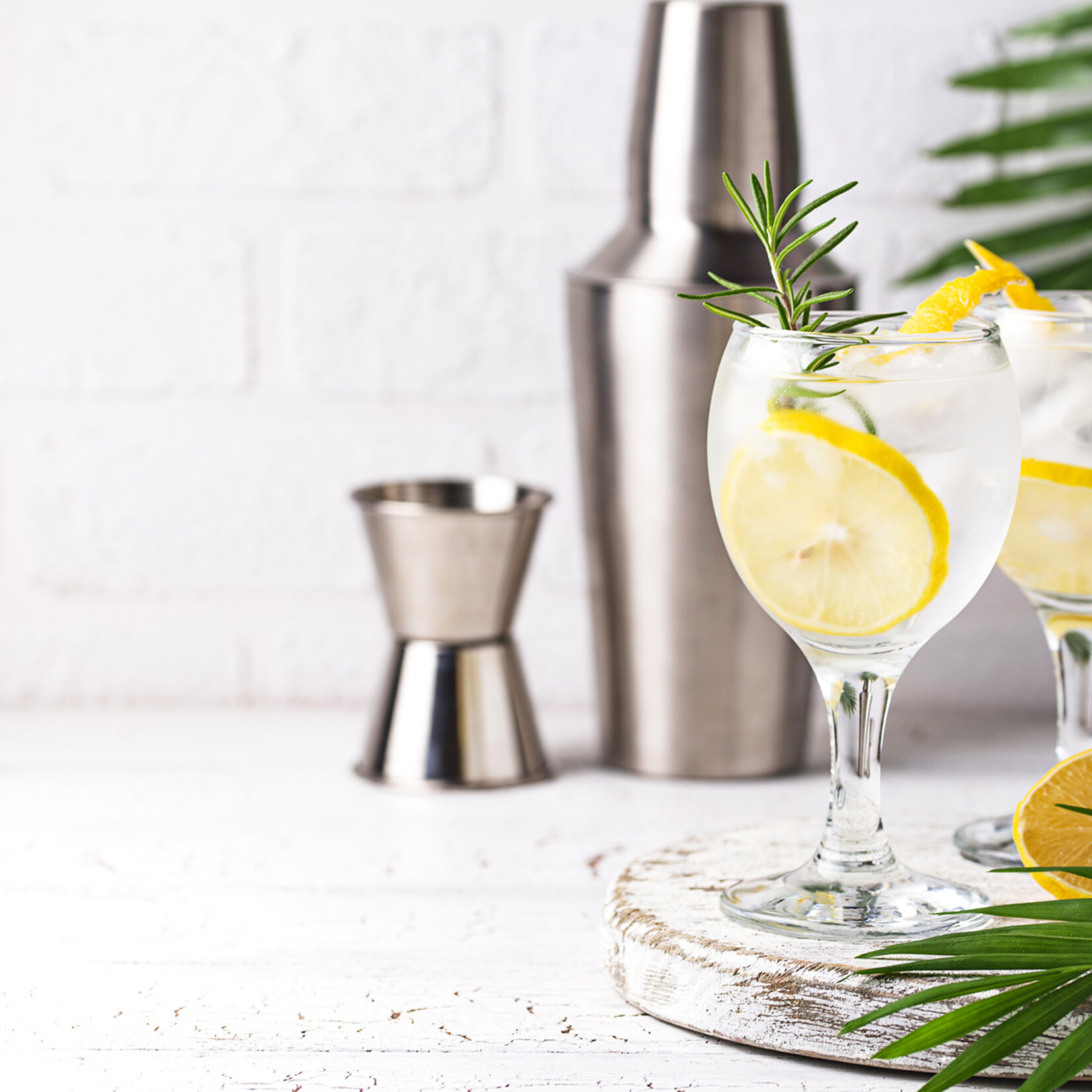 Gourmet du Village Mélange pour Gin Spritz au citron