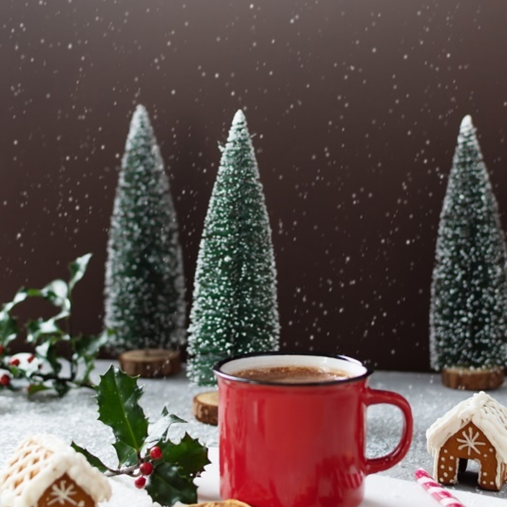 Gourmet du Village Chocolat chaud Orignal