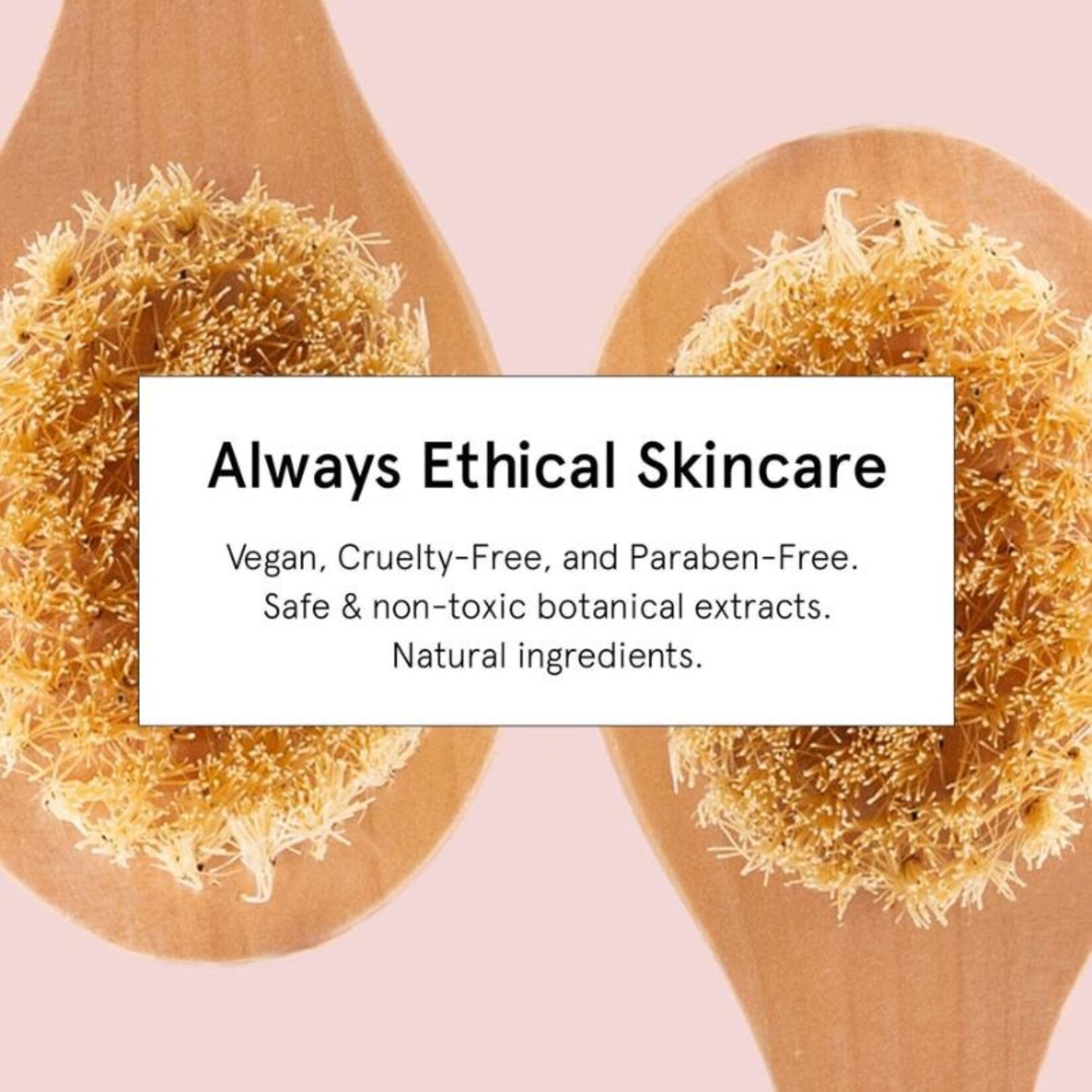 Grace & Stella Brosse corporelle sèche vegan en fibre de Tampico