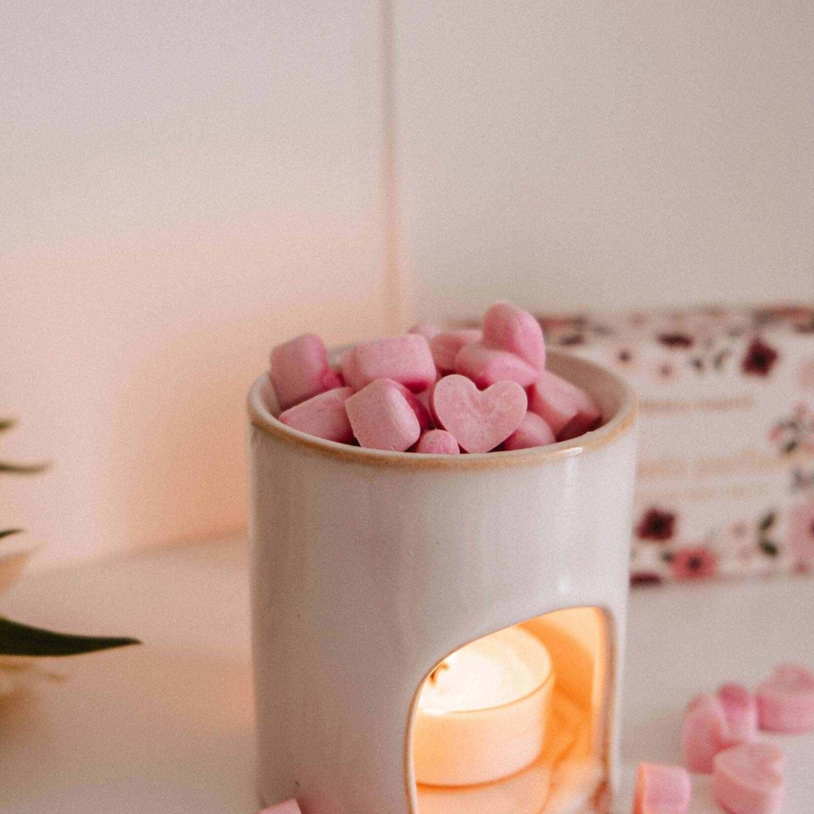 Mimi & August Fondants Parfumés - Amore