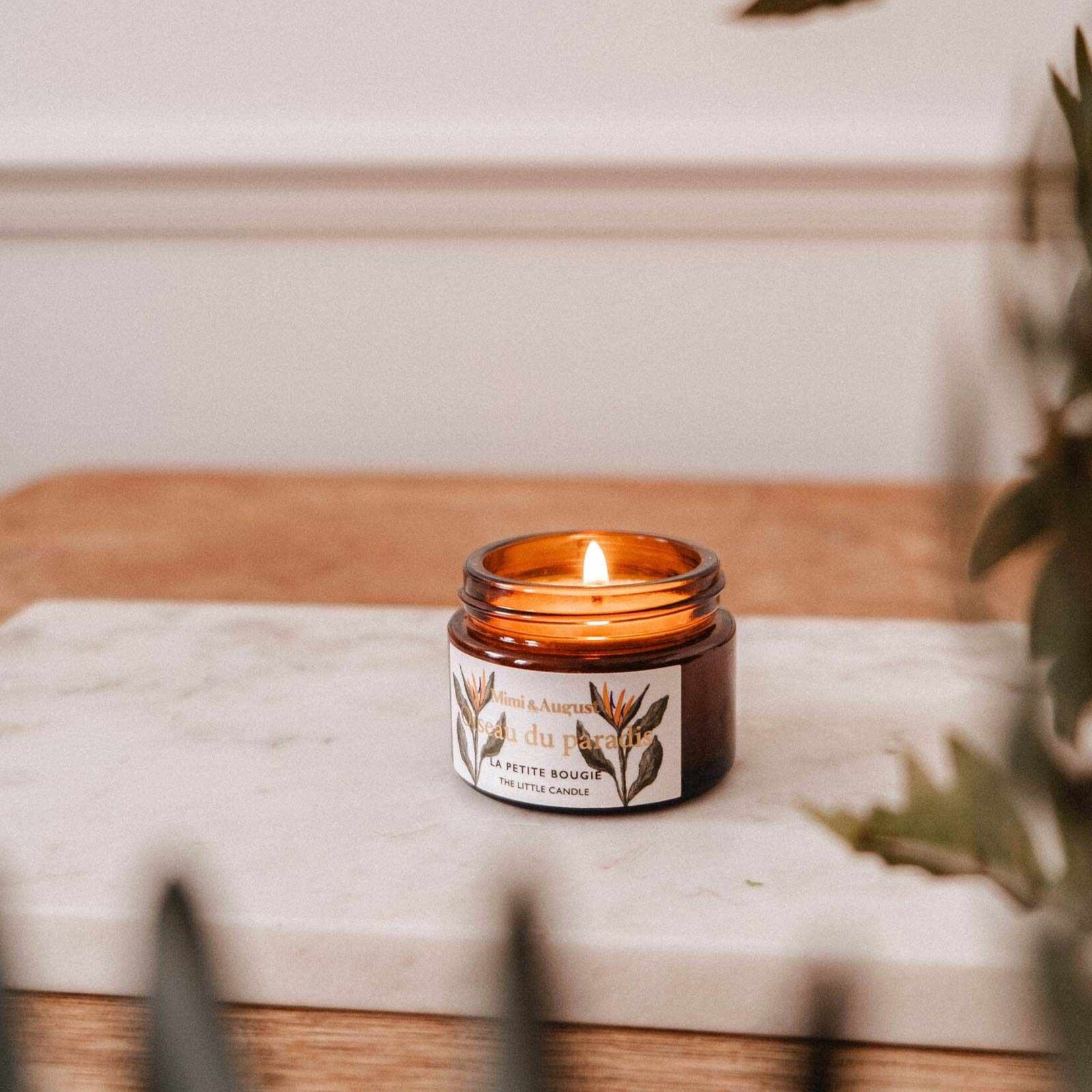 Mimi & August Bougie Oiseau du Paradis 2oz