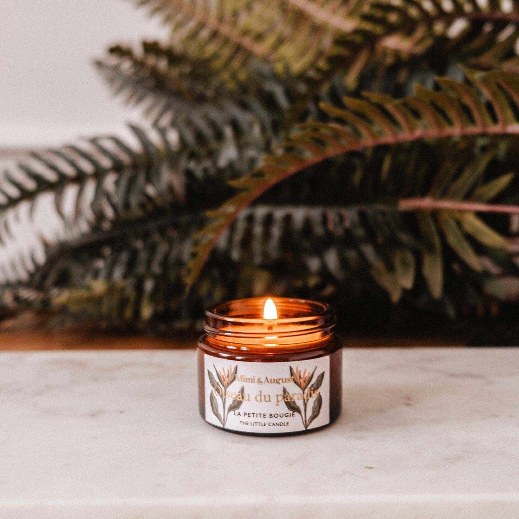 Mimi & August Bougie Oiseau du Paradis 2oz