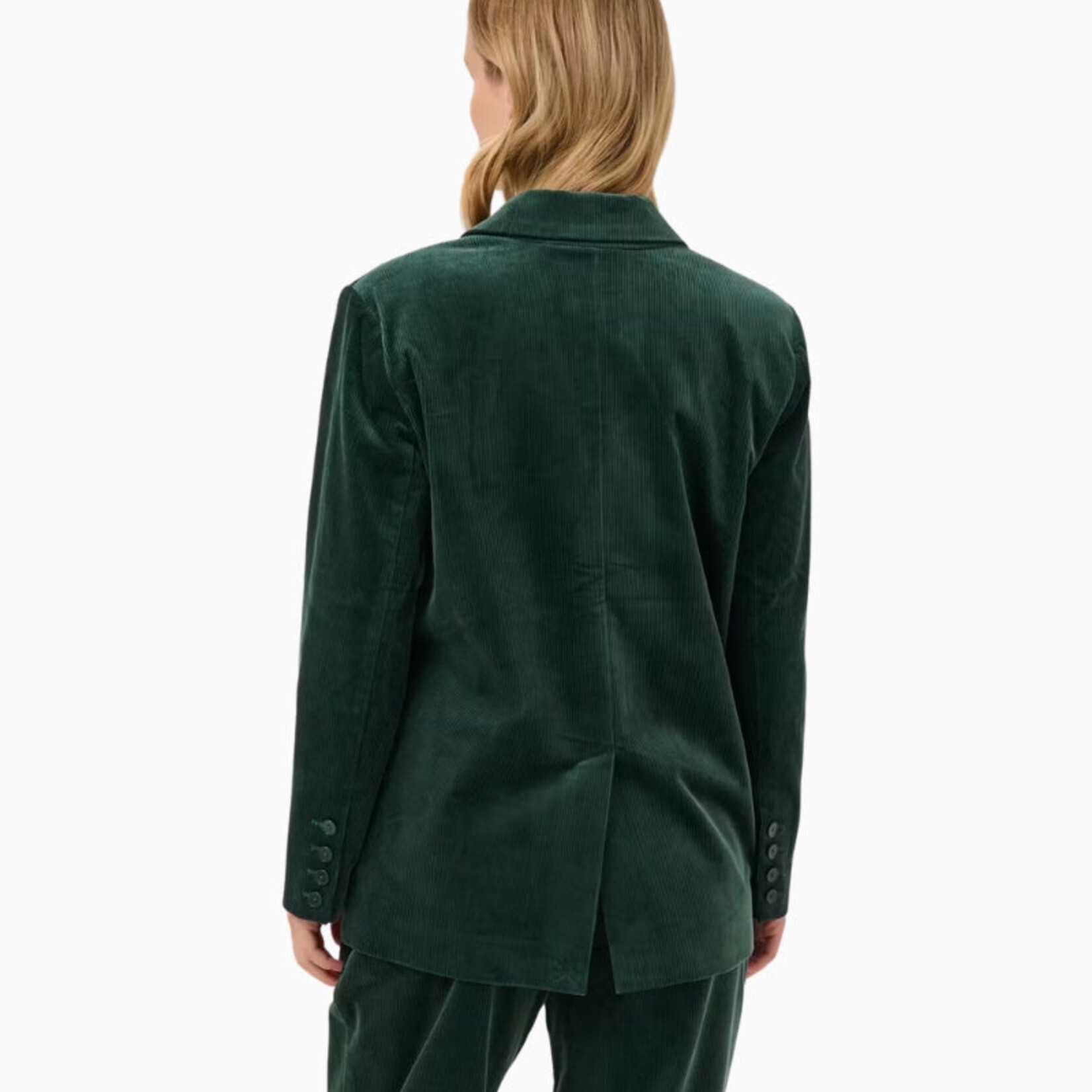 Part Two Blazer Conja - Green Gables