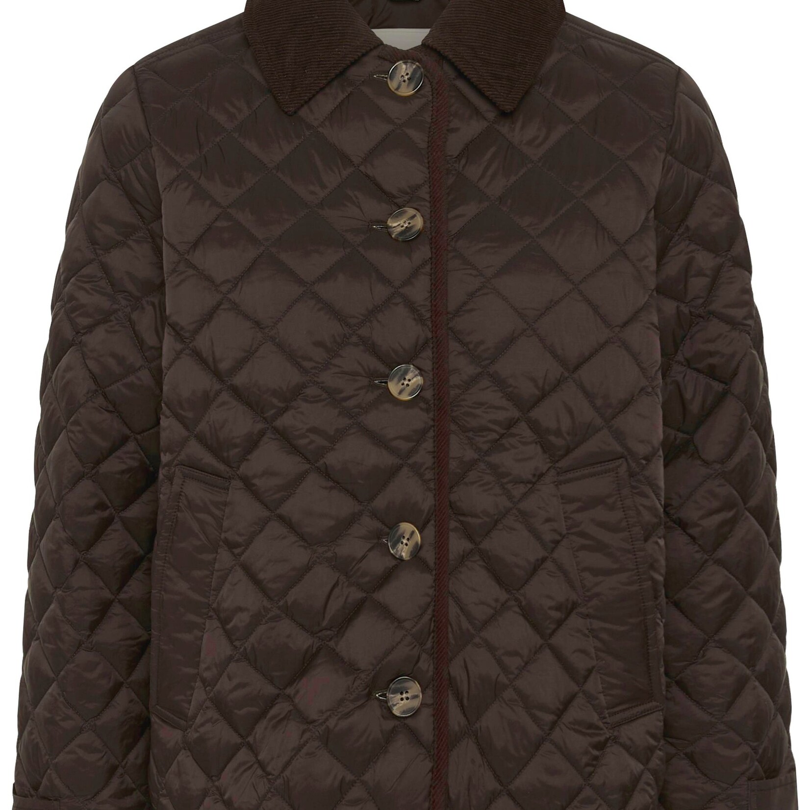 Part Two Manteau Safiya - Mole