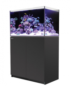 Red Sea RED SEA REEFER Rimless Reef-Ready Aquarium System - 250 - Black