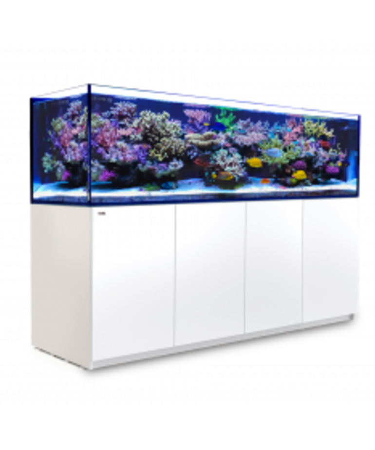 reef ready aquarium