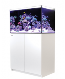 Red Sea RED SEA REEFER Rimless Reef-Ready Aquarium System - 250 - White