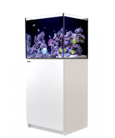 Red Sea RED SEA REEFER Rimless Reef-Ready Aquarium System - 170 - White