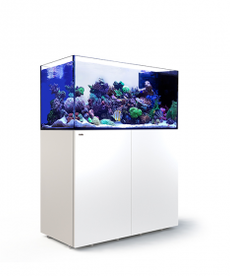 Red Sea RED SEA REEFER Peninsula Rimless Reef-Ready Aquarium System - P500 - White