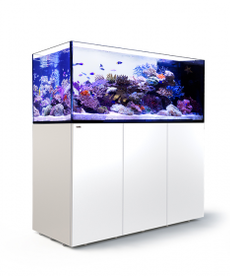 Red Sea RED SEA REEFER Peninsula Rimless Reef-Ready Aquarium System - P650 - White