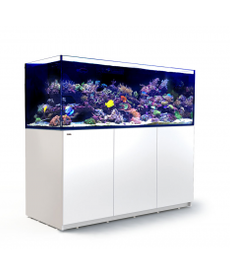 Red Sea RED SEA REEFER XXL Rimless Reef-Ready Aquarium System - 750 - White