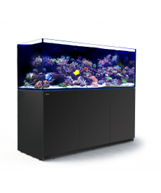 Red Sea RED SEA REEFER XXL Rimless Reef-Ready Aquarium System - 750 - Black