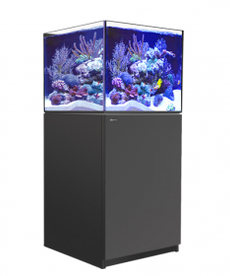 Red Sea RED SEA REEFER XL Rimless Reef-Ready Aquarium System - 200 - Black
