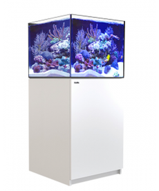 Red Sea RED SEA REEFER  Rimless Reef-Ready Aquarium System - 200 - White