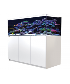 Red Sea RED SEA REEFER XL Rimless Reef-Ready Aquarium System - 525 - White