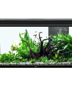 AQUATLANTIS Elegance Expert 100 Aquarium - (Black) - 40.25" x 15.75" - 51.5 gal