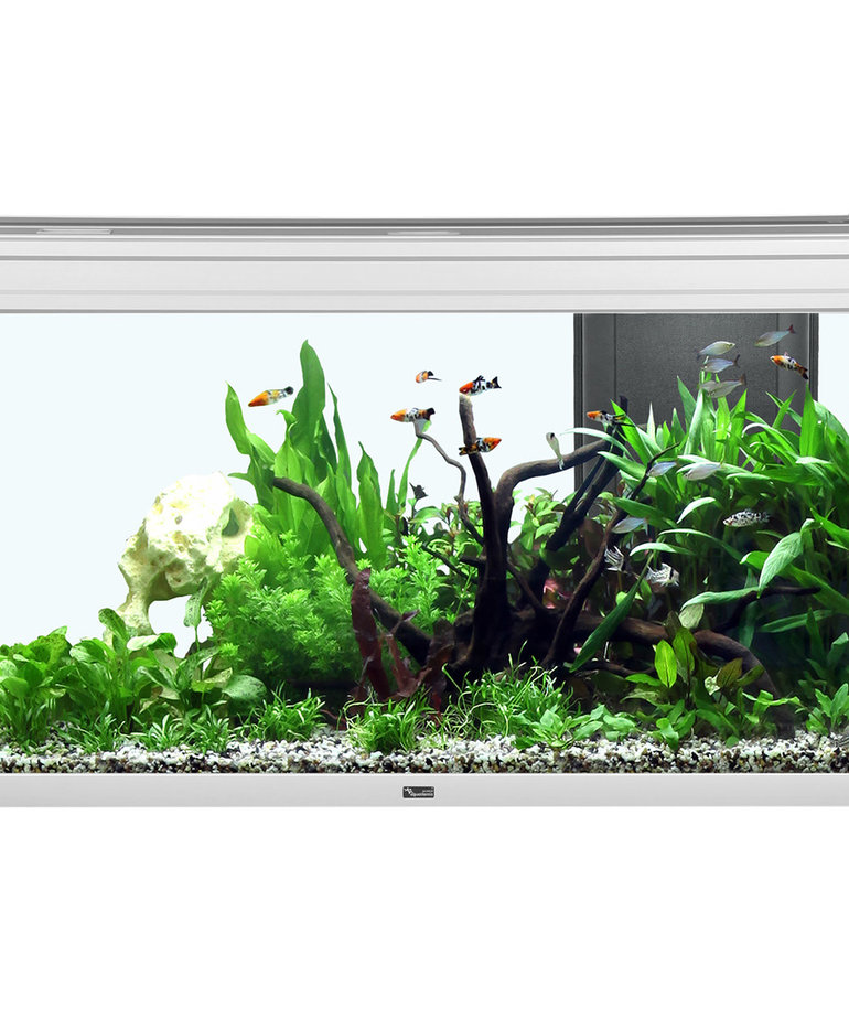 AQUARIUM PRESTIGE AQUATLANTIS 100X40X45CM - 144L