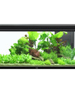 AQUATLANTIS Elegance Expert 120 Aquarium - (Black) - 48" x 16" - 61 gal