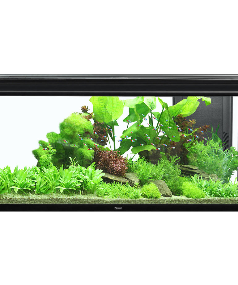 AQUATLANTIS Elegance Expert 120 Aquarium - (Black) - 48" x 16" - 61 gal