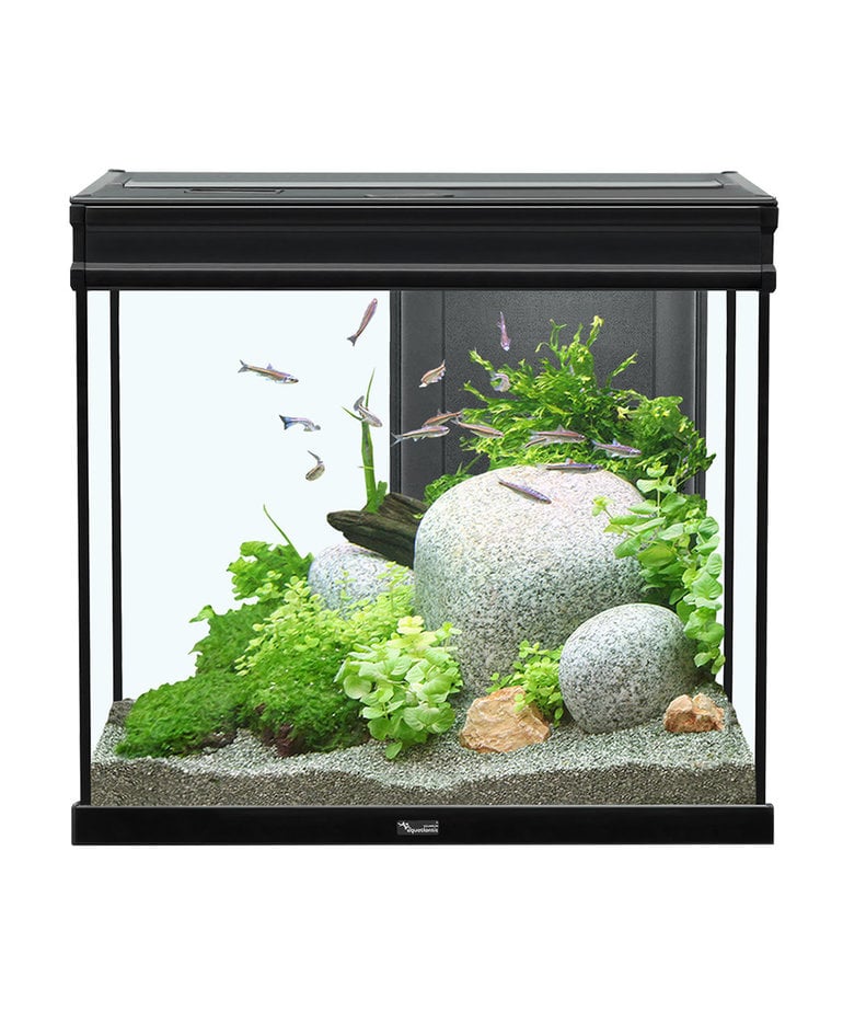 AQUATLANTIS Elegance Expert 60 Aquarium - (Black) - 24" x 15.75" - 27.5 gal