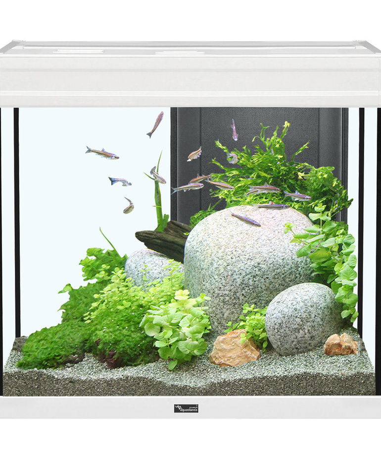 AQUATLANTIS Elegance Expert 60 Aquarium - (White) - 24" x 15.75" - 27.5 gal