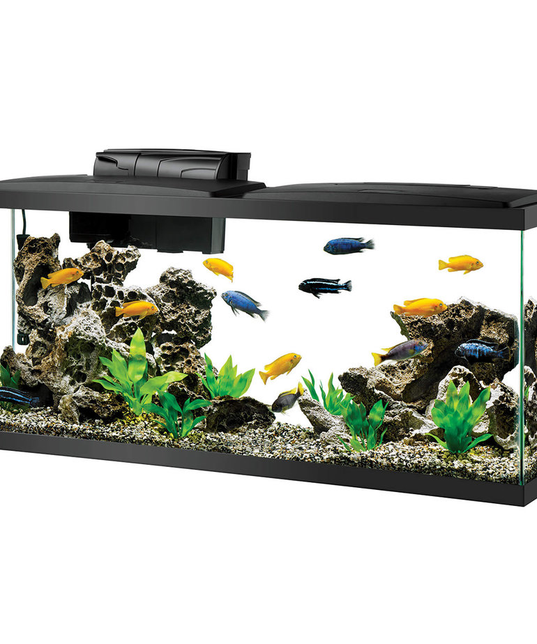 AQUEON LED Aquarium Kit 55 gal