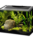 AQUEON Ascent Frameless Aquarium Kit -10 gal