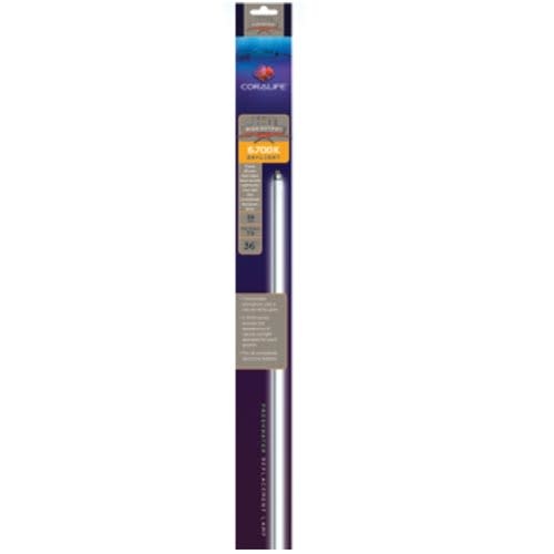 CORALIFE 6 700K T5 HO Fluorescent Lamp 39 W 36